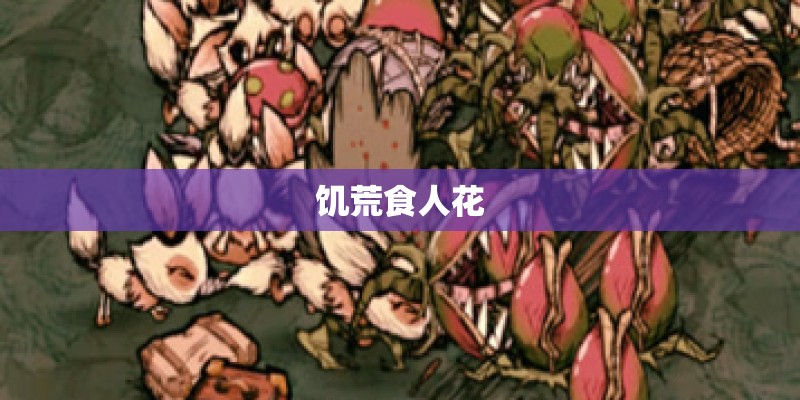 饥荒食人花