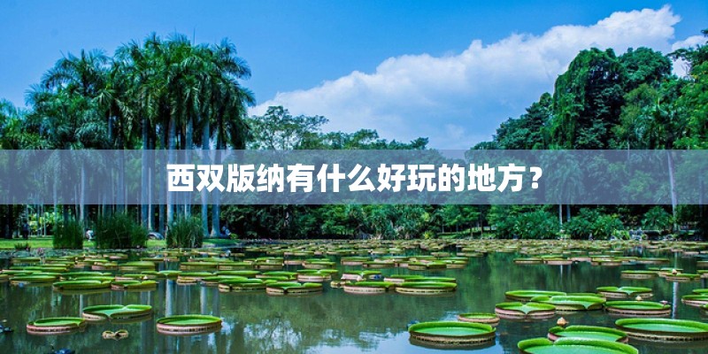 西双版纳有什么好玩的地方？