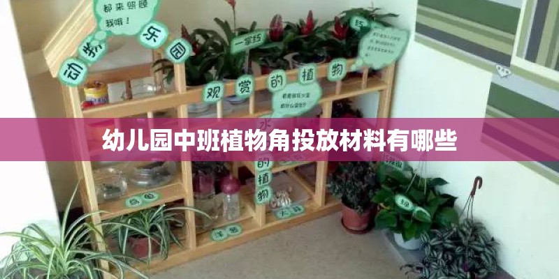 幼儿园中班植物角投放材料有哪些