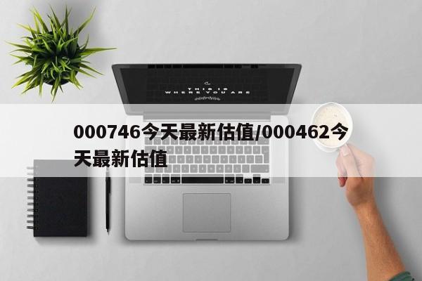 000746今天最新估值/000462今天最新估值