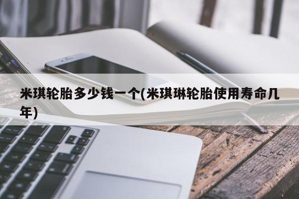 米琪轮胎多少钱一个(米琪琳轮胎使用寿命几年)