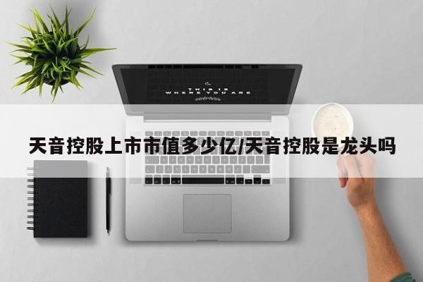 天音控股上市市值多少亿/天音控股是龙头吗