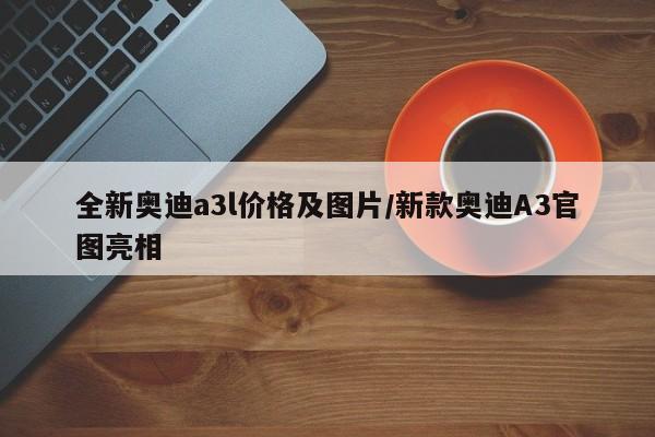 全新奥迪a3l价格及图片/新款奥迪A3官图亮相