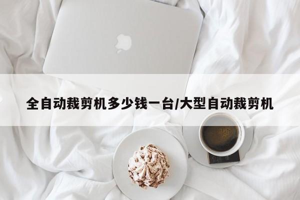 全自动裁剪机多少钱一台/大型自动裁剪机