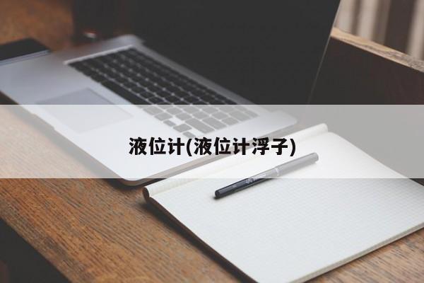 液位计(液位计浮子)