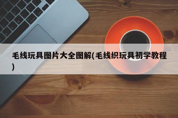 毛线玩具图片大全图解(毛线织玩具初学教程)