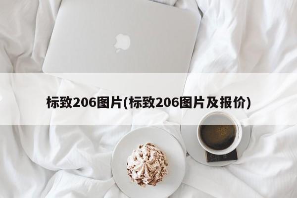 标致206图片(标致206图片及报价)