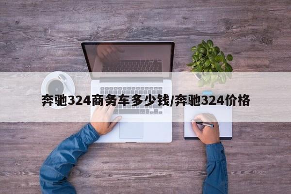 奔驰324商务车多少钱/奔驰324价格