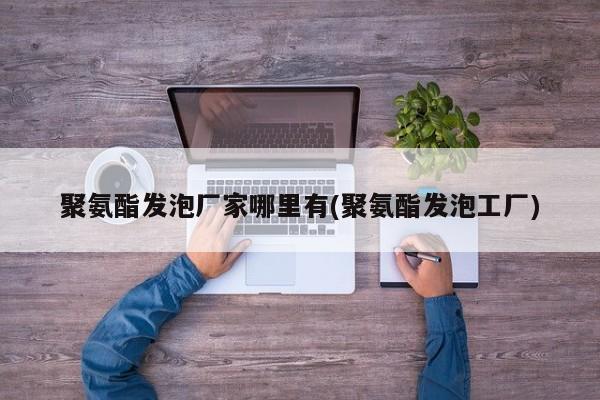 聚氨酯发泡厂家哪里有(聚氨酯发泡工厂)