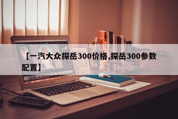 【一汽大众探岳300价格,探岳300参数配置】